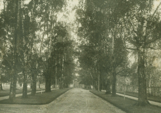  Фото 1910 гг. Трифоныч — усадьба Витово