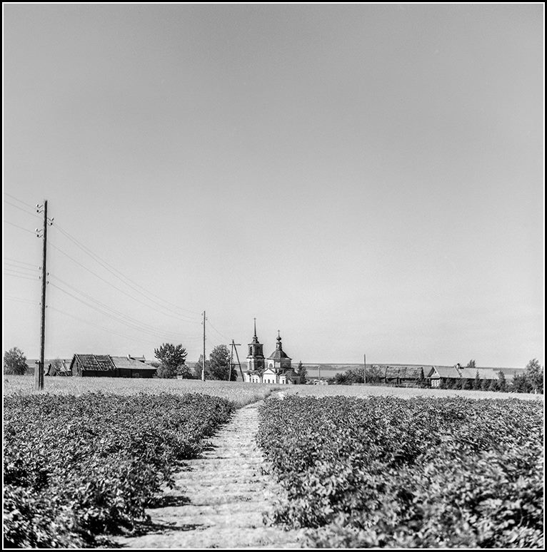 Илья Гольберг.