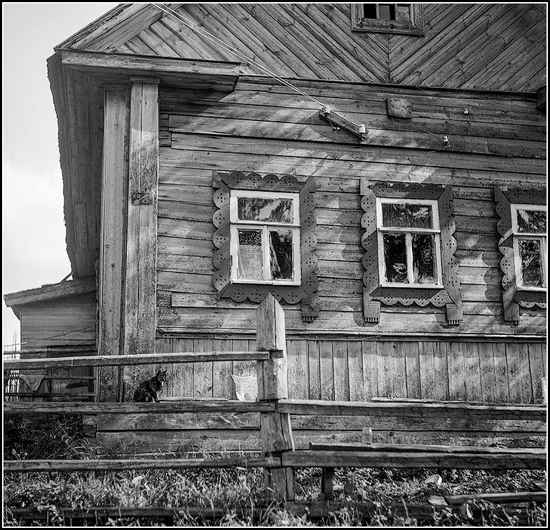 фото Илья Гольберг.