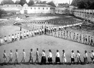  История развития спорта