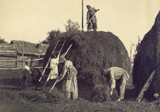  Русские типы. Фотография МАЭ № 160-121 РАН