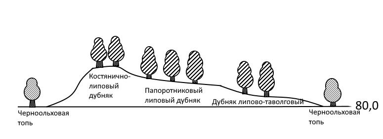  Липовые дубняков по рельефу поймы