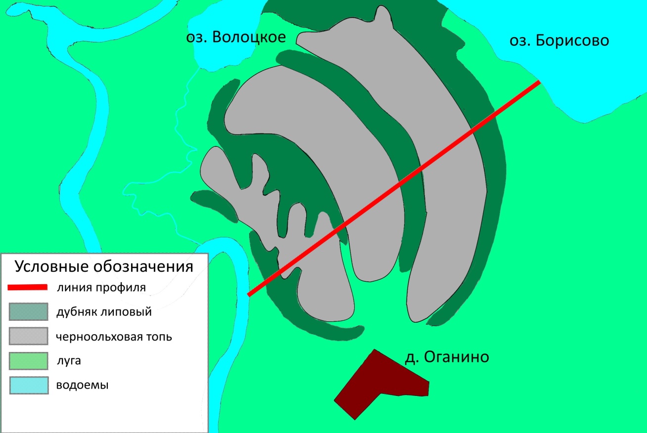  Реконструкция коренной лесной растительности