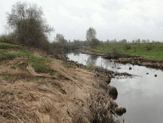  Долина и русло реки Глухая Воржа в наше время. Фото из открытых источников