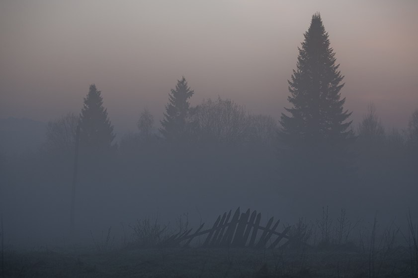  Природа Костромского края