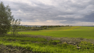 Mikhailovskoe