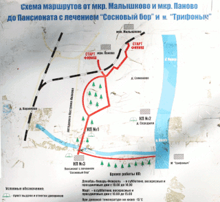  Спортивная лесная трасса. Зкология природы края