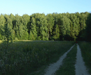  Пригородные места отдыха. Зкология природы края