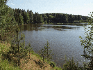  Зкология природы края