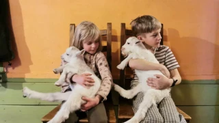  Домашние животные. Russia, Kostroma, Kologriv. Photographer Denis Alenin