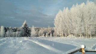  Природные пейзажи севера России. Сюжеты от первого лица