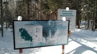  Природные пейзажи севера России. Сюжеты от первого лица