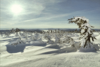 Russia Siberia