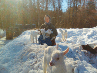 Marina Vasina. Kologriv winter. Life in the country