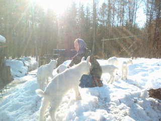  Marina Vasina. Kologriv winter. Life in the country