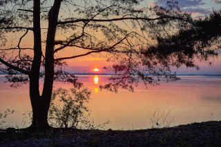  Nature of the Kostroma region