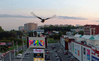  Кострома c высоты птичьего полета