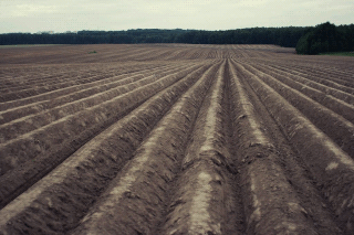  Plowed field