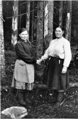  Жители Введенской округи на сборе живицы. Фото 1950 гг. из архива © В.М.Чистякова. Лесной промысел