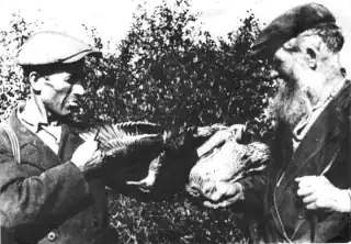 Famous hunters from the village of Vezhi