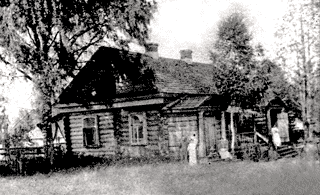Novinki
