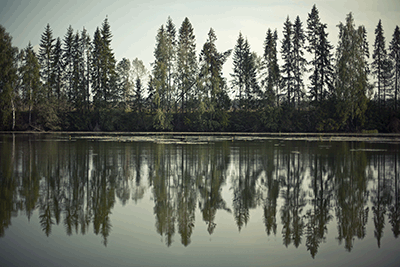  Природные ландшафты по берегам рек Костромского края на фотографиях