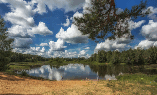  Природные ландшафты по берегам рек Костромского края на фотографиях