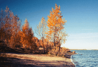  Берег Волги