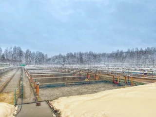   Разведение рыбы